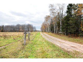 Property photo 65 - REAL ESTATE AUCTION - 1,428+/- ACRES OFFERED IN 10 TRACTS IN PRICE CO., WI